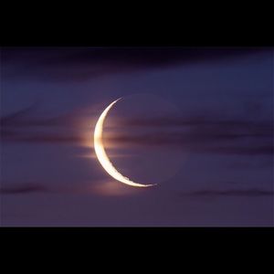 Meet your Posher, Deisy